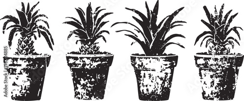 Four potted aloe vera plants in textured pots with distinct leaf shapes and rustic