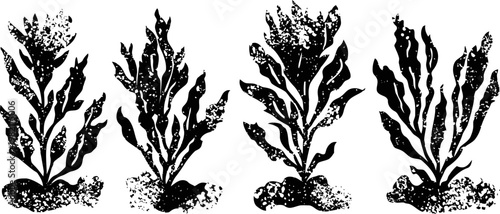 black silhouette seaweed set underwater algae marine plants with textured roots and flowing leaves