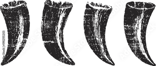 Vintage grunge animal claws illustration set of four monochrome curved talons with distressed texture wildlife nature elements