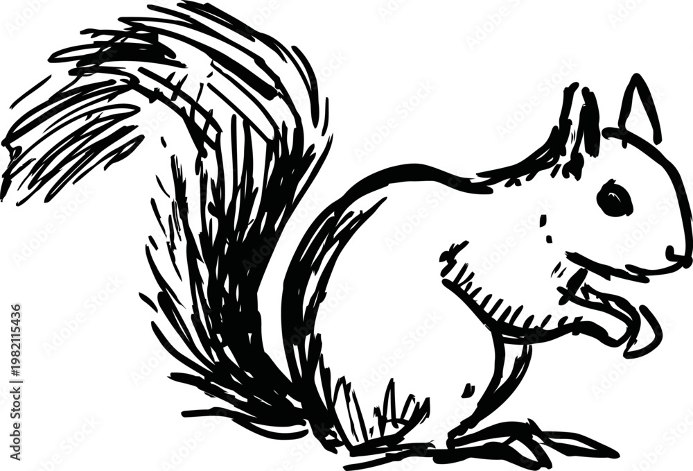 Fototapeta premium Sitting squirrel sketch hand drawn wild animal outline with bushy tail and attentive pose