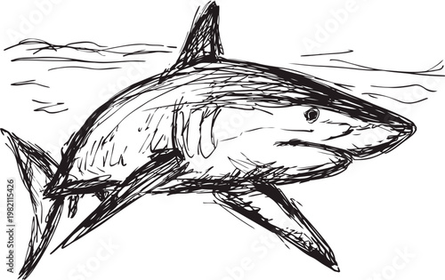great white shark swimming underwater ocean predator with sharp teeth and powerful body silhouette