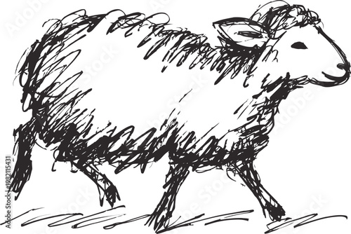 Hand drawn black ink sketch of a sheep walking on grass