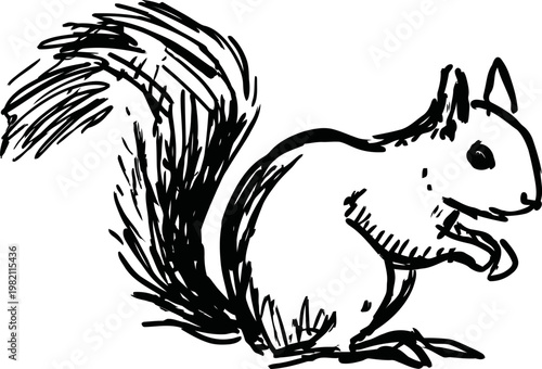 Sitting squirrel sketch hand drawn wild animal outline with bushy tail and attentive pose