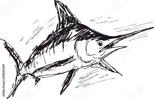 Sketch of a marlin fish swimming with elongated bill and detailed fin strokes in black ink