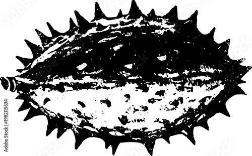 kiwano fruit isolated horned melon with spiky outer skin and distinct texture for tropical food and exotic healthy nutrition