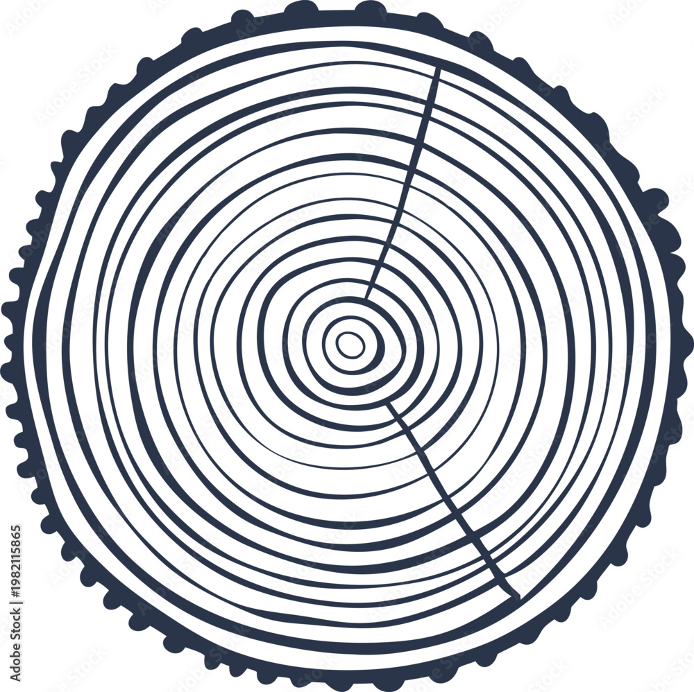 Fototapeta premium Tree rings cross section circular wood trunk pattern with growth rings and natural crack forestry and nature concept