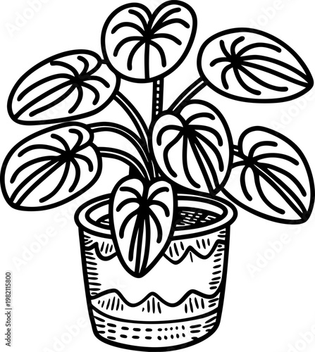 Potted houseplant with heart shaped leaves in decorative pot line art illustration