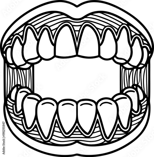 Open mouth with upper and lower teeth line art illustration, dental anatomy and oral cavity design
