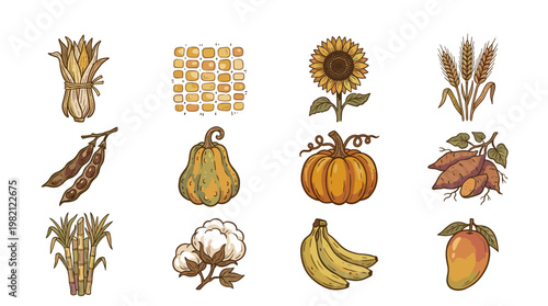 Vibrant Illustrated Crop Collection: Agriculture Harvests for Food and Textile