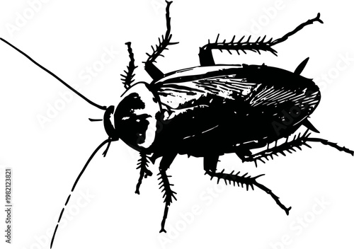 Detailed black silhouette of a cockroach insect with antennae and spiny legs on white background