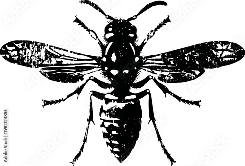 black silhouette of a wasp with open wings showing detailed body segments and antennae