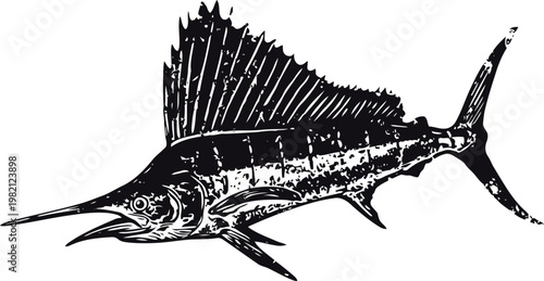 Vintage swordfish illustration with detailed fins and elongated bill outline drawing