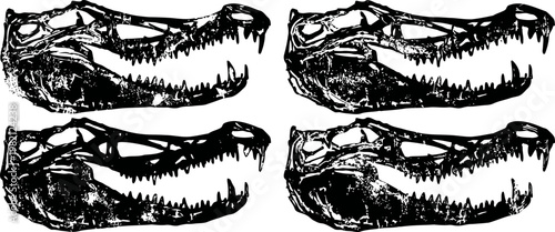 Four detailed black and white illustrations of alligator skulls with open jaws in artistic