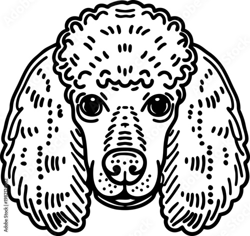 poodle dog face illustration with curly fur and detailed facial features black and white