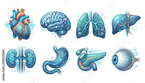 futuristic human internal organs anatomy vector icon set on transparent background