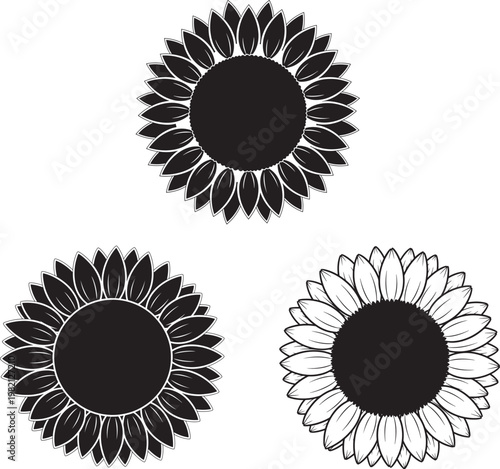 Three stylized sunflowers with botanical illustration plant life botanical garden nature lover botanical studies sunflower botanical agriculture decoration illustration wildflower