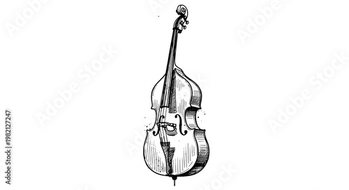 Double bass vintage engraved line art illustration with detailed strings and classic orchestral feel