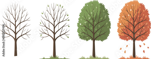 Cartoon tree collection with seasonal trees for winter, spring, summer and autumn, colorful nature vector set
