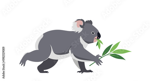Cute koala bear walking on all fours while holding a branch of green eucalyptus leaves to eat in a flat design style.
