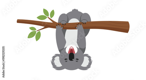 Cheerful koala bear hangs upside down from a tree branch with green leaves while laughing with its mouth wide open.