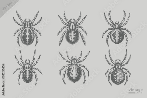 Halloween spider with vintage stippling effect vector illustration. experimental grunge texture, horror theme, creepy design, eerie