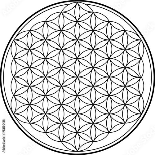 Sacred Geometry Flower of Life Pattern Vector Illustration for Spiritual Harmony and Interconnectedness