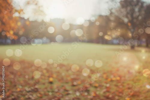 A serene image featuring an unfocused bokeh background of trees in a public garden.
