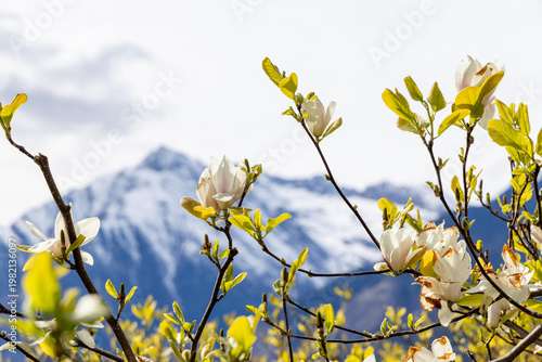 Südtirol, Alto Adiga, South Tyrol
