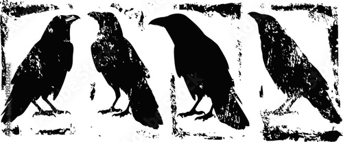 black raven silhouettes in vintage grunge with textured distressed effects