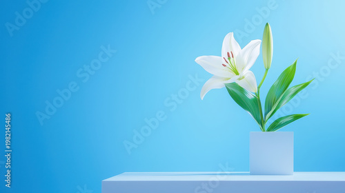 Elegant white lily in clean vase against blue background, symbolizing purity and tranquility