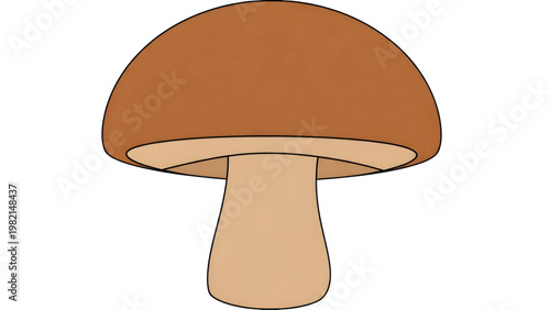 Brown mushroom cartoon illustration on white background