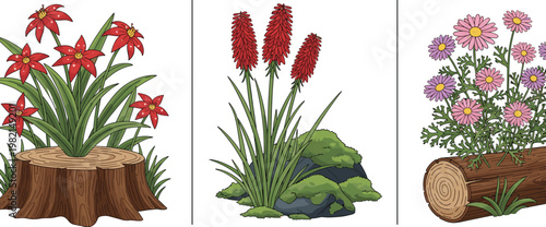 Garden flowers growing on tree stump and log vector illustration featuring red blossoms wild plants and blooming floral arrangements isolated