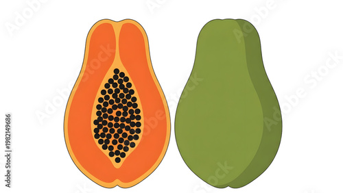 Papaya and avocado fruit illustration