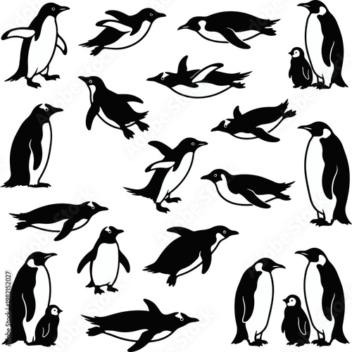 Set of penguin silhouettes in various poses and species isolated