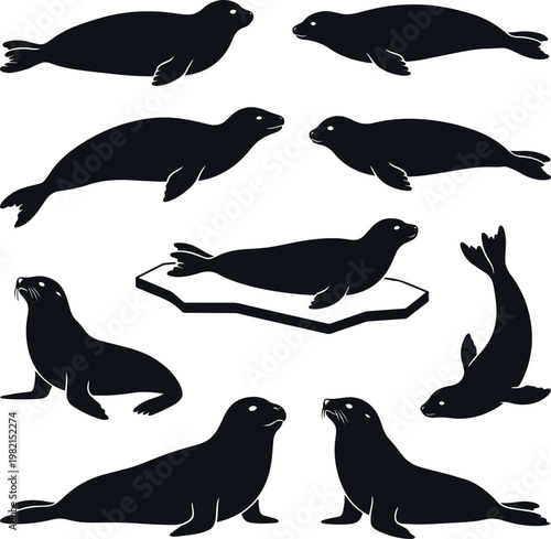 Set of seal and sea lion silhouettes