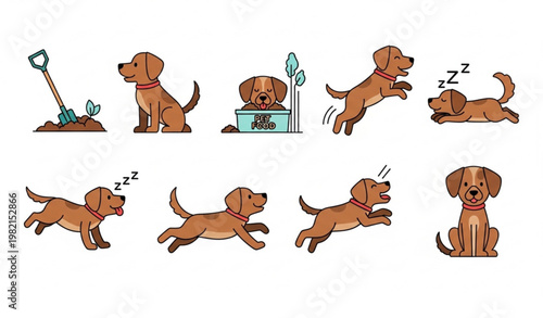 Dog action vector bundle with cartoon pet poses tricks barking and sleeping