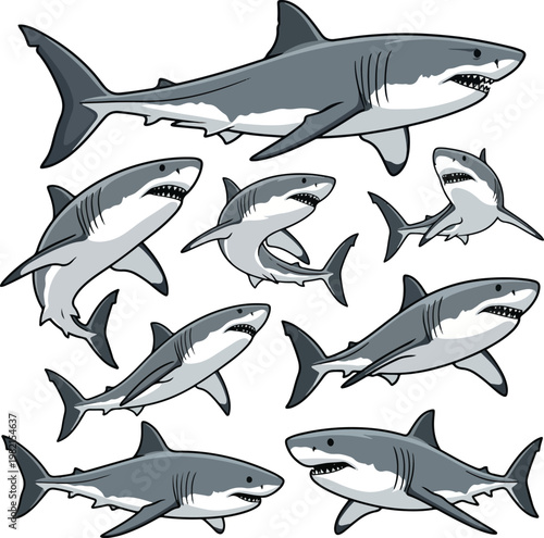 Great white shark vector illustration set in various swimming and attacking poses