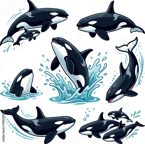 Set of orca killer whale vector illustrations