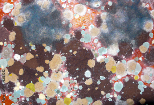 A close-up view of a multicolored mold colony on a surface. White, brown, orange, magenta, yellow, and gray colors.