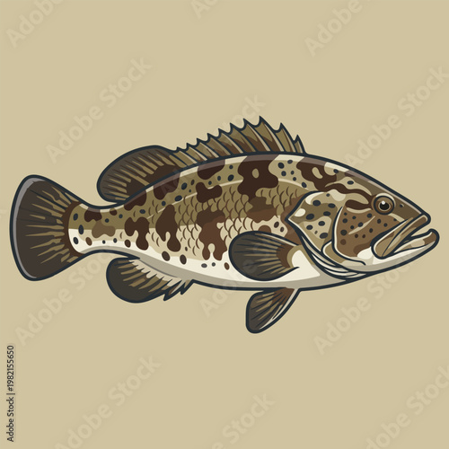 Brown spotted grouper fish vector illustration isolated