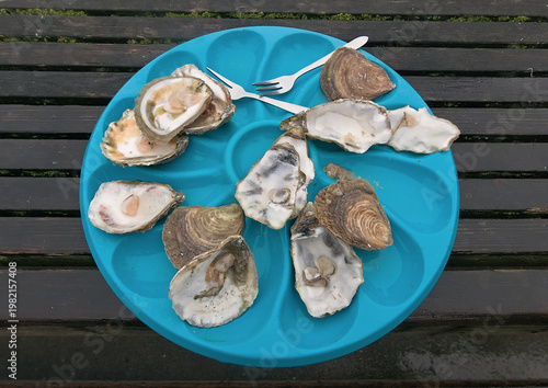 plate of Breton oysters on a vivid blue plate
