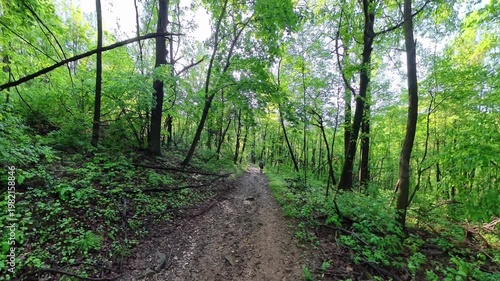 Man Hikes Down South River Falls Trail in Shenandoah National Park