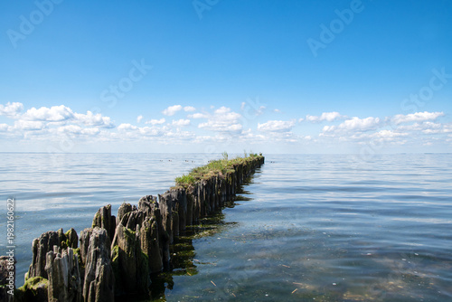 wooden groyne stretching