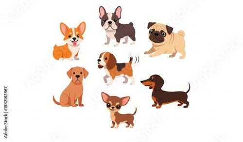 Cartoon dog breed collection with cute pets corgi pug beagle labrador vector