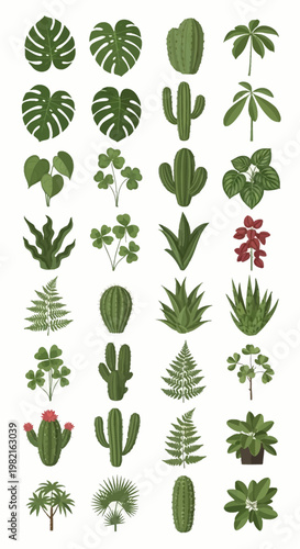 Collection of botanical vector illustrations featuring Monstera deliciosa leaves, desert cacti, lush green ferns, tropical palm fronds, succulents, and clover on a white background.