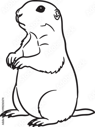 Simple line art illustration of a cute groundhog or prairie dog standing on its hind legs, ideal for coloring pages, educational resources, or children's animal designs
