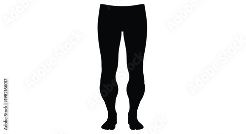 Silhouette of human legs and feet against a white background