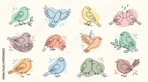 Colorful Birds in Various Poses Illustration.