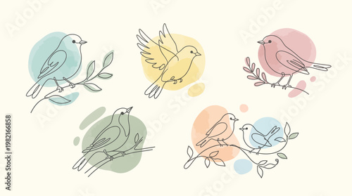 Colorful Birds on a Branch.