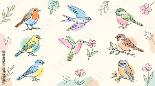 Colorful birds on branches flowers.